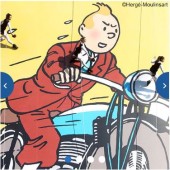 tintin