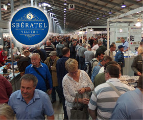 The Sberatel fair will grow by more than 10 percent this year!